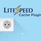 Как настроить кеширование LiteSpeed ​​Cache