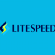 Что такое веб-сервер LiteSpeed?